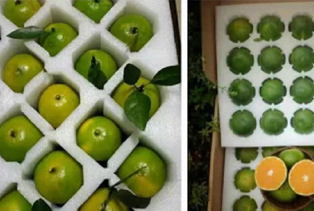 廠家直銷各種EPE珍珠棉泡沫、產(chǎn)品包裝泡沫、水果包裝泡沫等包裝盒內(nèi)襯